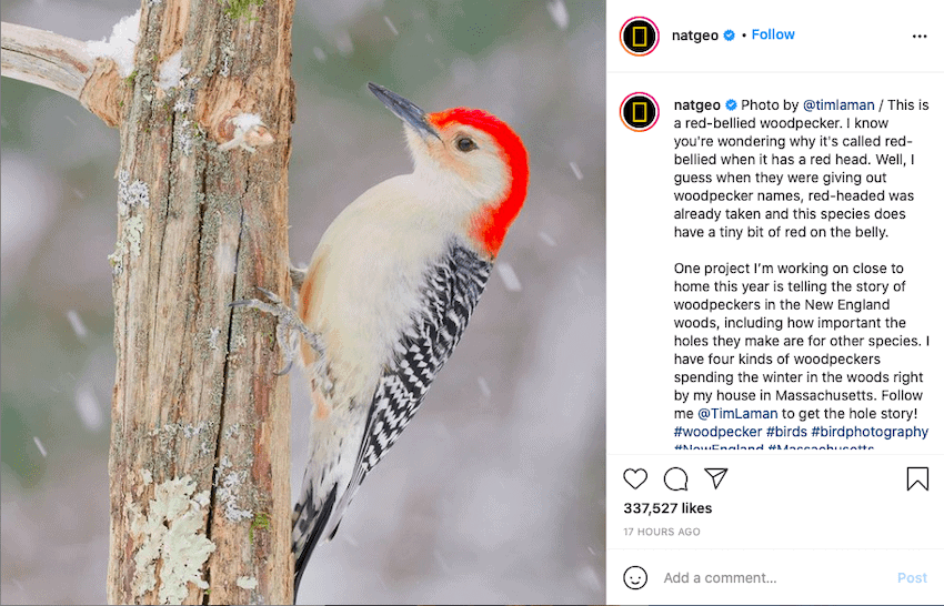 Instagram post National Geographic